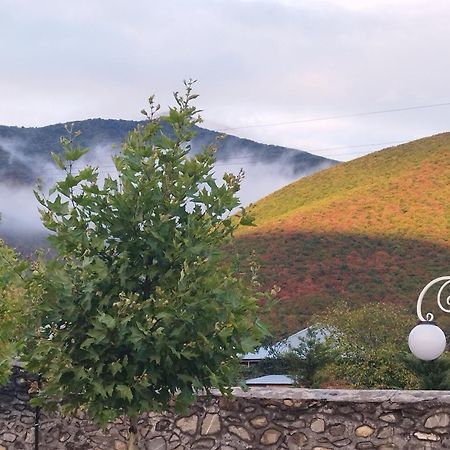 Tulpan Hotel Şǝki المظهر الخارجي الصورة