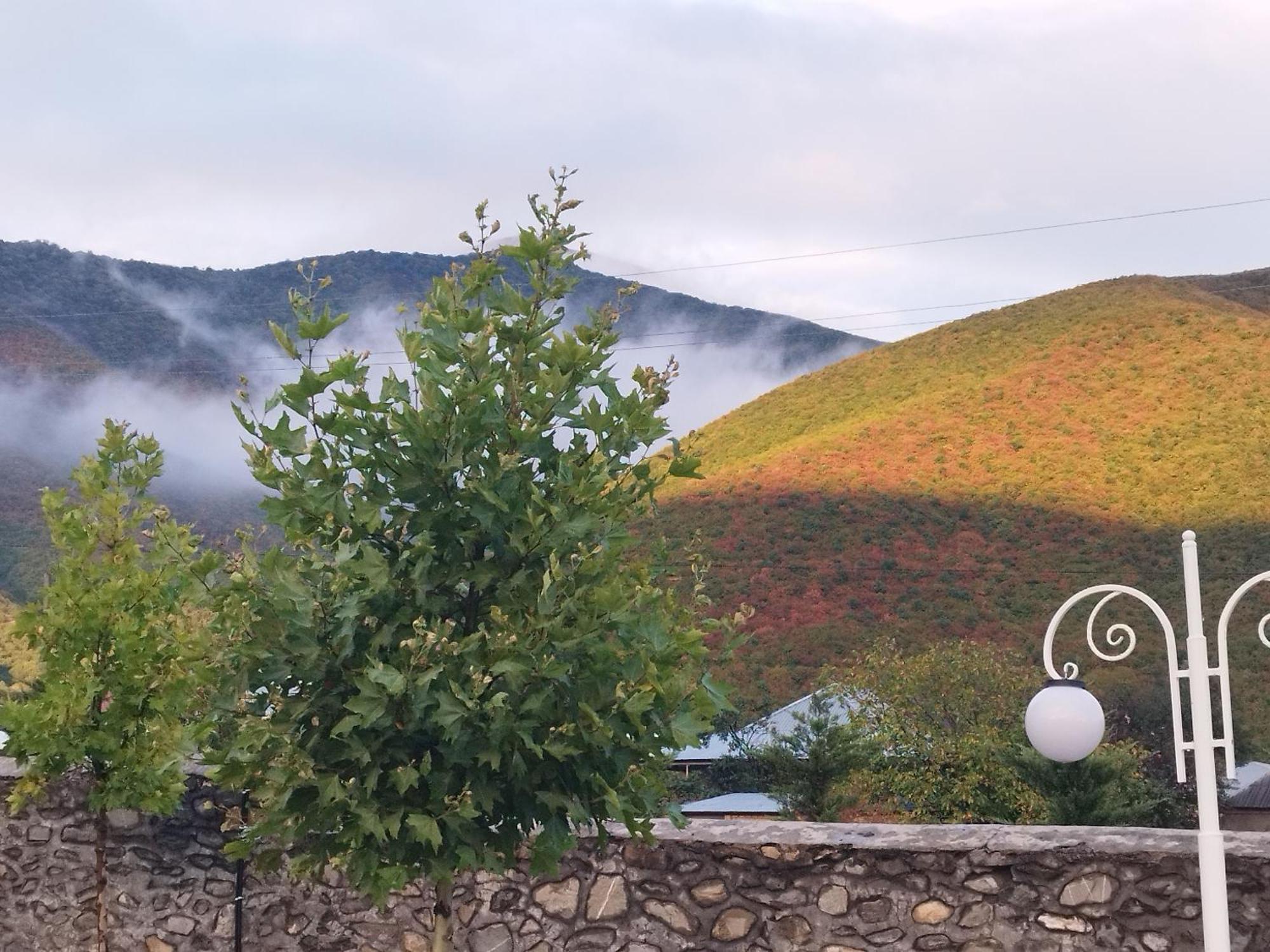 Tulpan Hotel Şǝki المظهر الخارجي الصورة